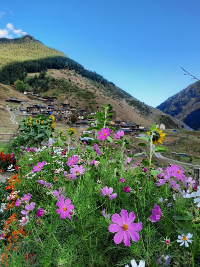 Guesthouse Pirimze Dartlo ภายนอก รูปภาพ